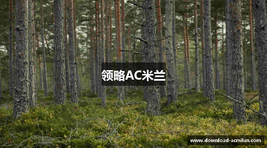 领略AC米兰